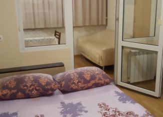 Аренда 1-ком. квартиры, 30 м2, Сочи, улица Конституции СССР, 14, микрорайон Центральный