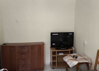 Сдача в аренду 1-комнатной квартиры, 20 м2, курортный посёлок Озеро-Карачи, Школьная улица, 58