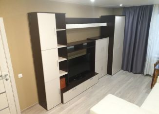 Сдаю в аренду 2-ком. квартиру, 45 м2, Москва, 9-я улица Соколиной Горы, ВАО
