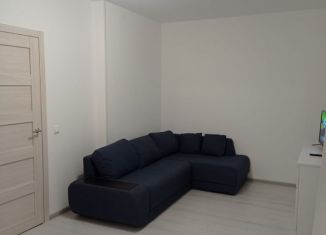 Сдается в аренду 1-ком. квартира, 43 м2, Республика Башкортостан, улица Губкина, 15