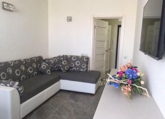 Сдаю в аренду однокомнатную квартиру, 42 м2, Владимирская область, улица Гастелло, 9