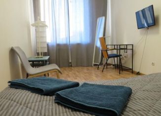 Сдается 1-комнатная квартира, 36 м2, Санкт-Петербург, 5-й Предпортовый проезд, метро Ленинский проспект