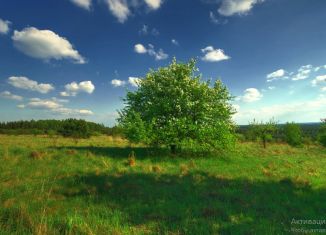 Продается участок, 24 сот., Воронежская область, Толпыгинская улица, 94А