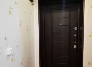 Трехкомнатная квартира на продажу, 54.1 м2, село Калиновка, Школьная улица, 6