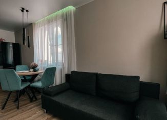 Квартира в аренду студия, 30 м2, Волгоград, улица Расула Гамзатова, Дзержинский район