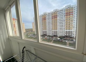 Сдаю квартиру студию, 32 м2, Ростов-на-Дону, улица Тимофеева, 14к1, ЖК Платовский