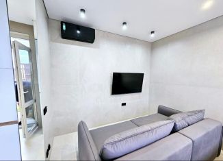 Продажа 1-комнатной квартиры, 27 м2, посёлок городского типа Сириус, Таврическая улица, 7к1, ЖК Арт Лайт Сити