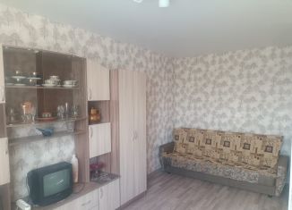 Сдаю 1-ком. квартиру, 30 м2, село Криводановка, Микрорайон, 2