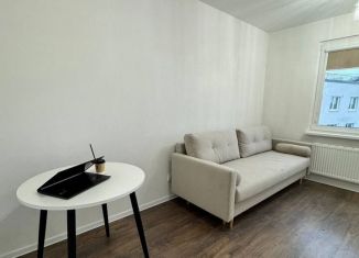 Сдача в аренду квартиры студии, 20 м2, Санкт-Петербург, Муринская дорога, 31к2, метро Академическая