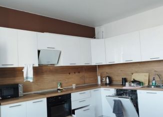 Сдача в аренду 2-комнатной квартиры, 75 м2, Санкт-Петербург, Вилькицкий бульвар, 7, ЖК Тихая Гавань