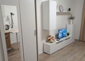 Аренда квартиры студии, 27 м2, Колпино, Балканская дорога