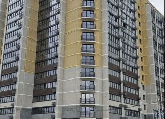 Продается однокомнатная квартира, 38.8 м2, Благовещенск, ЖК Лазурный Берег, Заводская улица, 4/9