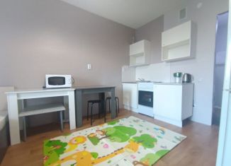 Продается квартира студия, 22 м2, Мурино, проспект Авиаторов Балтики, 25, ЖК Авиатор