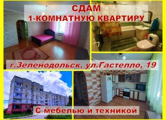 Сдается однокомнатная квартира, 41.5 м2, Зеленодольск, улица Гастелло, 19