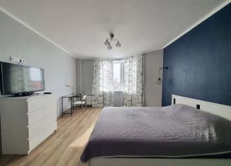 Сдам 1-ком. квартиру, 40.1 м2, Санкт-Петербург, проспект Непокорённых, 10к1