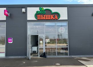 Торговая площадь на продажу, 46.3 м2, село Михайловка, улица Дениса Булякова, 1/1