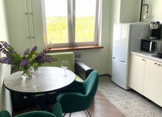 Сдаю в аренду 1-ком. квартиру, 40 м2, Всеволожск, Севастопольская улица, 2к1
