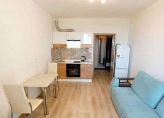 Квартира на продажу студия, 23.3 м2, Санкт-Петербург, Заводская улица, 17, метро Рыбацкое