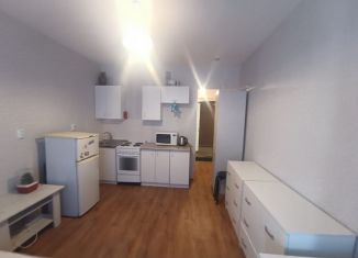 Квартира на продажу студия, 22 м2, Мурино, проспект Авиаторов Балтики, 25, ЖК Авиатор