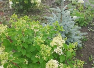 Продается дача, 50 м2, Тула, СНТ Керамик, 29