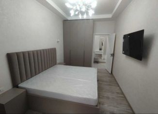 Сдам в аренду однокомнатную квартиру, 55 м2, Татарстан, улица Павлюхина, 110В