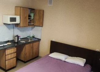 Сдается в аренду квартира студия, 27 м2, Республика Башкортостан, улица Тукаева, 17А