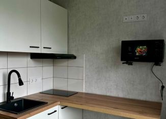 Сдам квартиру студию, 18 м2, Татарстан, улица Меховщиков, 7