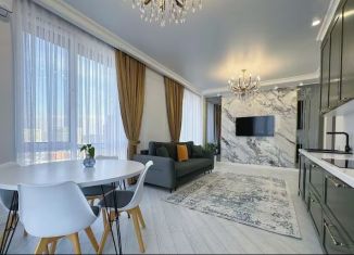 2-комнатная квартира на продажу, 43.2 м2, Сочи, Дагомысский переулок, 18к1, микрорайон Ареда