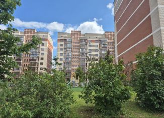 Продам квартиру студию, 24 м2, деревня Ивановское, улица Семёна Гордого, 6