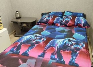 Сдача в аренду квартиры студии, 16 м2, Краснодар, улица имени Сергея Есенина, 82/6, Музыкальный микрорайон