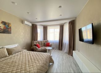 Сдаю 1-комнатную квартиру, 36 м2, Абакан, улица Авиаторов, 1Д