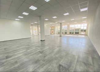 Сдается помещение свободного назначения, 500 м2, Ростов-на-Дону, Таганрогская улица, 33, Октябрьский район