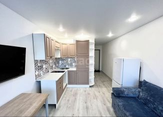 Продаю квартиру студию, 19.7 м2, Тюмень, улица Новосёлов, 109