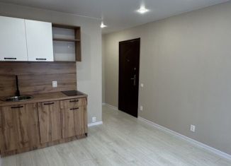 Продается квартира студия, 17 м2, Новгородская область, улица Щусева, 12к3