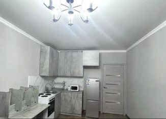 Однокомнатная квартира в аренду, 38.4 м2, Ростов-на-Дону, Мачтовая улица, 3, ЖК Любушкино