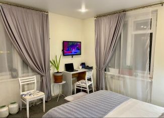 Сдаю в аренду однокомнатную квартиру, 32 м2, Санкт-Петербург, улица Ленсовета, 67к1