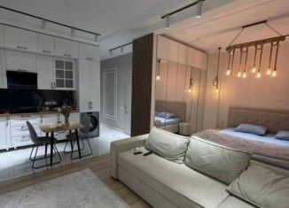 Квартира в аренду студия, 26 м2, Краснодар, микрорайон Черемушки, улица Айвазовского, 116к1