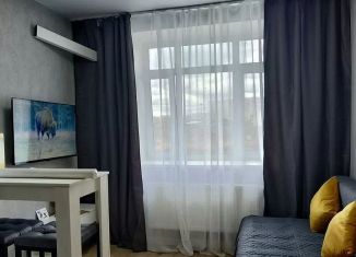 Сдается в аренду квартира студия, 16 м2, деревня Марьино, Жемчужная улица, 1к9