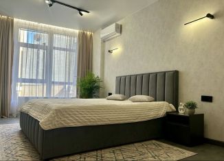 Сдается в аренду 1-комнатная квартира, 42 м2, Ростов-на-Дону, Красноармейская улица, 157В/83с2