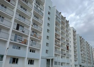 Продается 1-комнатная квартира, 34.4 м2, Чайковский, улица Кочетова, 1