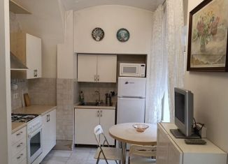 Сдаю квартиру студию, 29 м2, Санкт-Петербург, улица Чайковского, 2/7, метро Гостиный двор