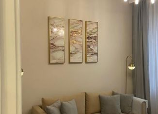 Продаю однокомнатную квартиру, 35 м2, Татарстан, улица Петра Гаврилова, 26