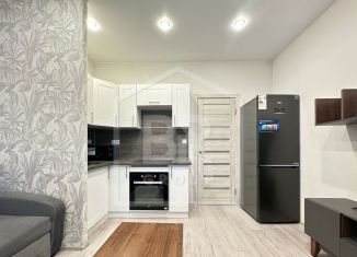 Продается квартира студия, 19.1 м2, Санкт-Петербург, метро Комендантский проспект, Планерная улица, 89