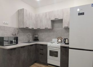 Сдаю в аренду однокомнатную квартиру, 40 м2, село Засечное, Фонтанная улица, 14