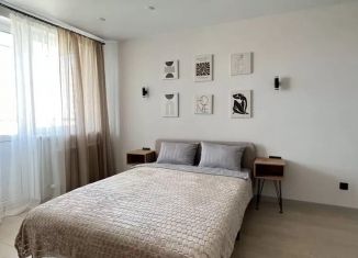 Сдается в аренду 1-ком. квартира, 41 м2, Казань, улица Адоратского, 1А