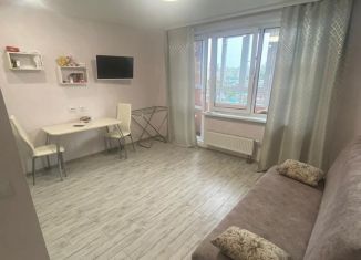 Сдаю квартиру студию, 26 м2, Республика Башкортостан, улица Воинов-Интернационалистов, 5