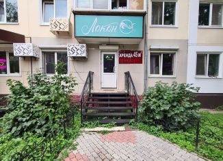 Аренда помещения свободного назначения, 45 м2, Благовещенск, Театральная улица, 44