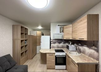 Сдается квартира студия, 18 м2, Москва, Окская улица, 28к3, метро Кузьминки