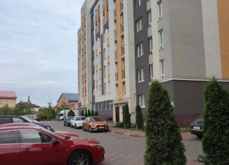 Продажа двухкомнатной квартиры, 55 м2, поселок Малое Исаково, улица Талькова, 5