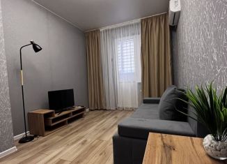 Аренда однокомнатной квартиры, 34 м2, Краснодарский край, улица Западный Обход, 45к6